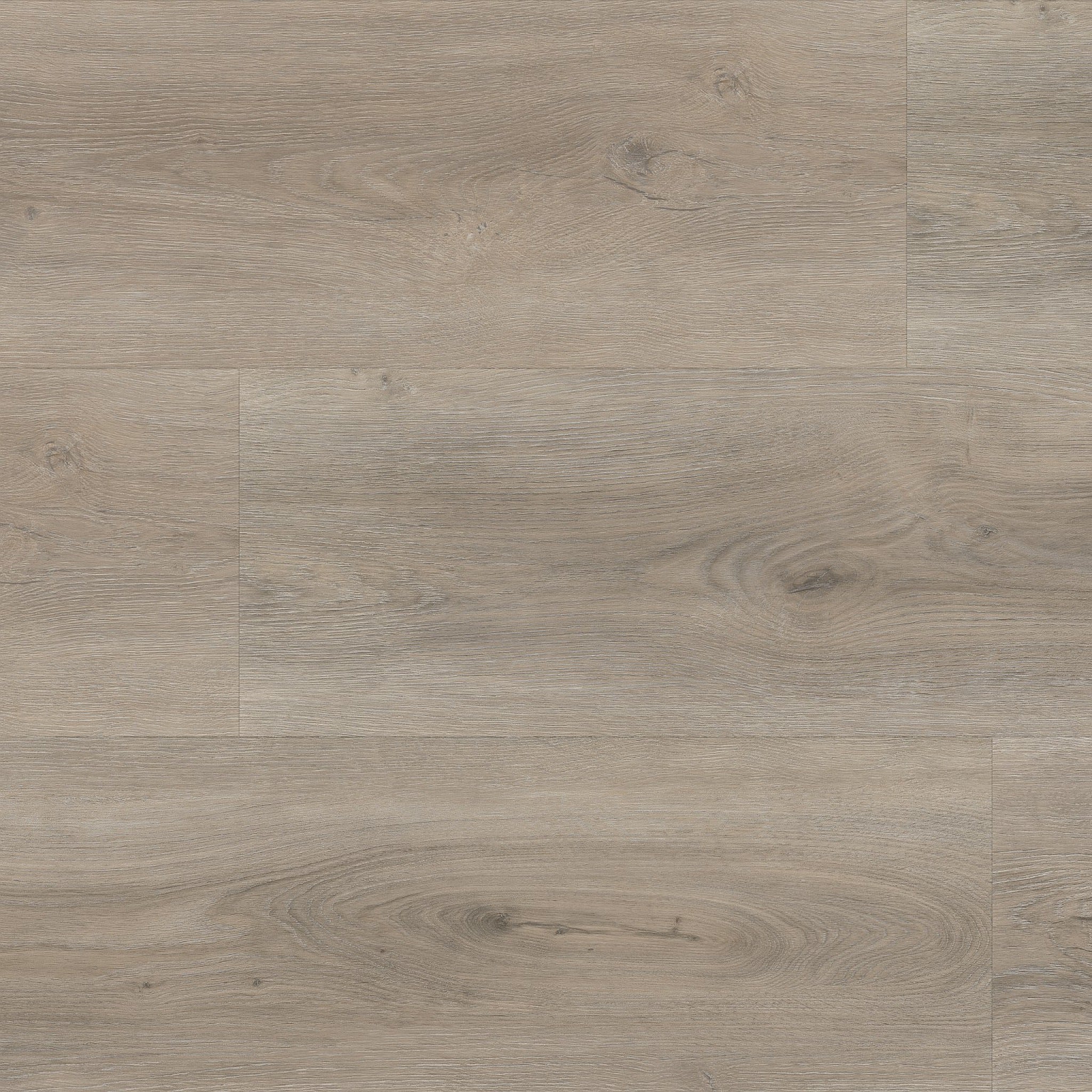 PARRAMATTA DRYBACK GREY OAK