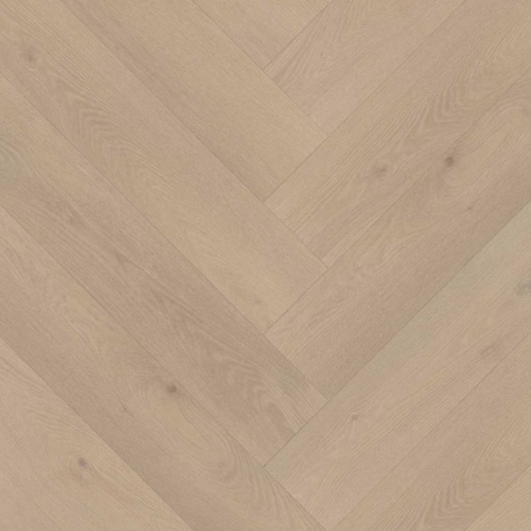 BELAKOS PALAZZO VISGRAAT XL 74