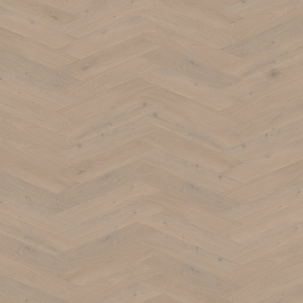 Belakos ATTICO WEENSE PUNT 83