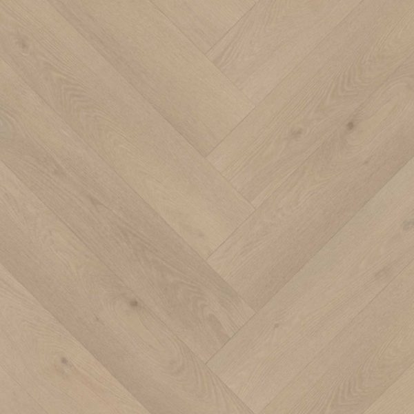 BELAKOS PALAZZO VISGRAAT XL 74