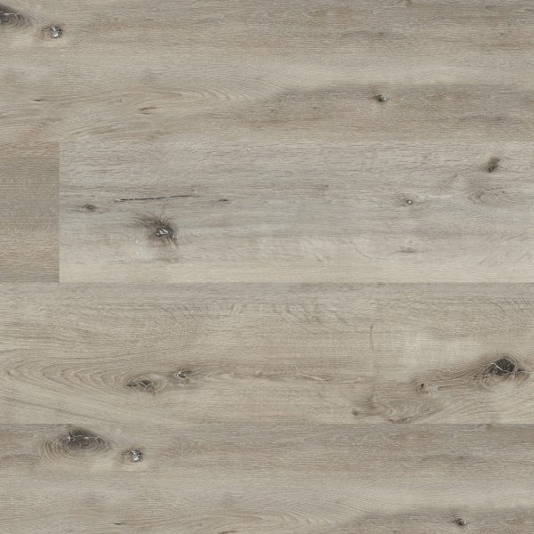 SYDNEY HARBOUR DRYBACK SMOKY