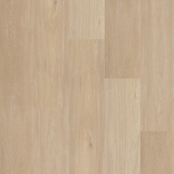 Therdex 12042
